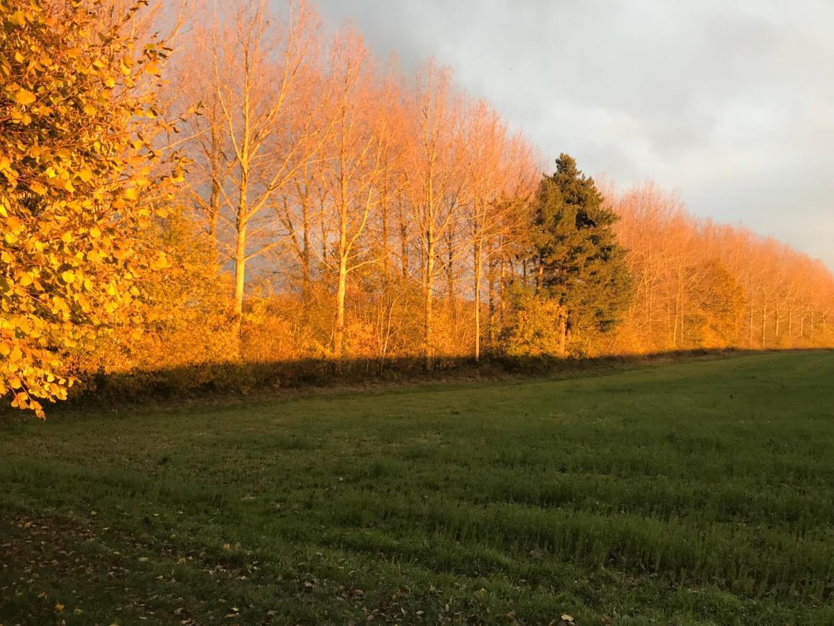 La Suite Cosy - Votre Pause Arboree La Bruyere エクステリア 写真