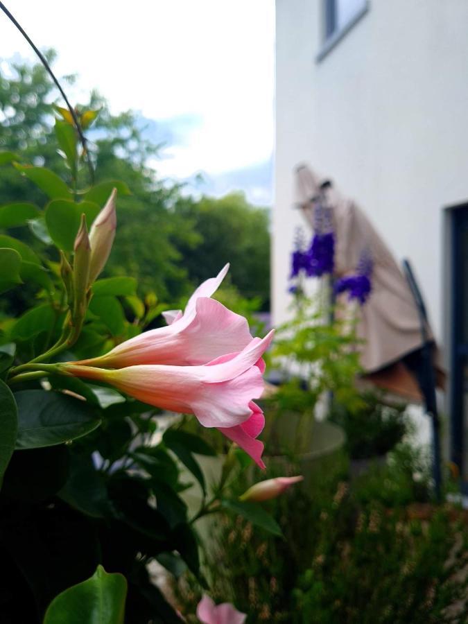 La Suite Cosy - Votre Pause Arboree La Bruyere エクステリア 写真