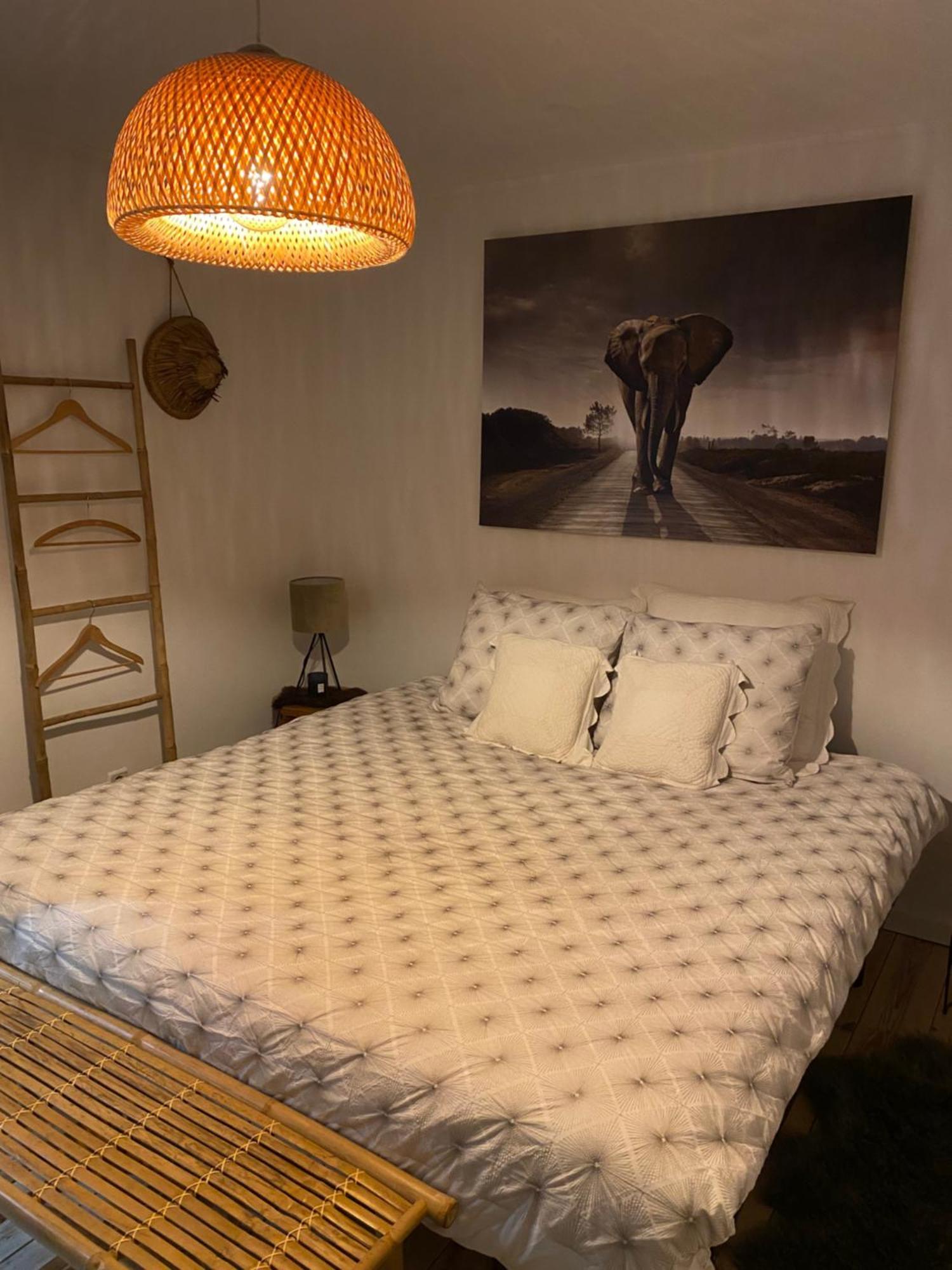 La Suite Cosy - Votre Pause Arboree La Bruyere エクステリア 写真