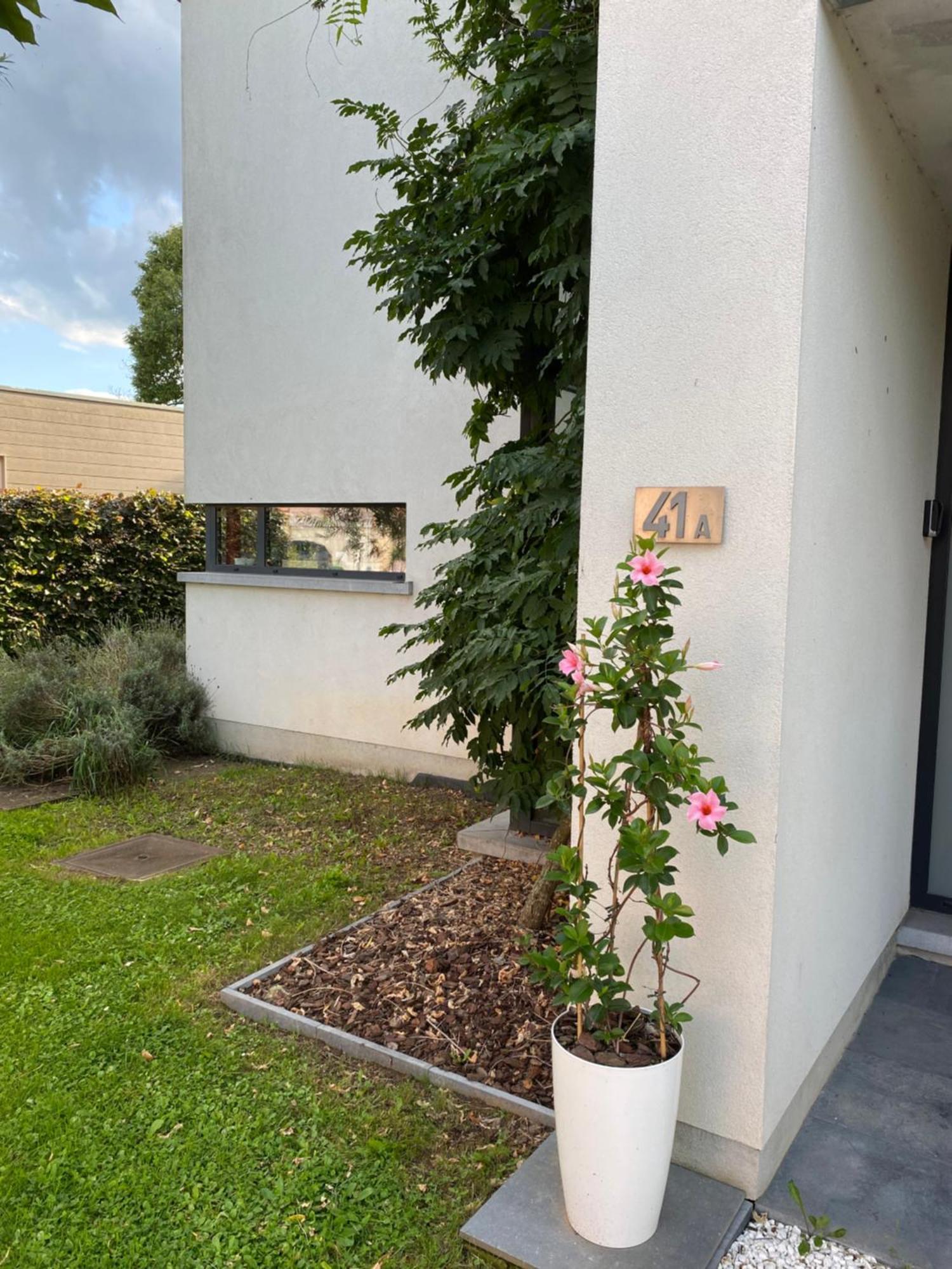 La Suite Cosy - Votre Pause Arboree La Bruyere エクステリア 写真